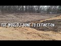 The end of creation itself (Official audio)