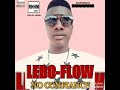 Lebo flow