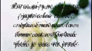 Diam&#39;s - Rose du bitume (paroles)