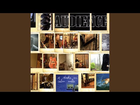 Audience (3) — Wide Man