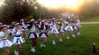 Veteran's Day 2013 Ceremony @ Rowlett Library.. High Kick Routine