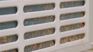 Here's What Might Be Sabotaging Your HVAC System, and What to Do About It