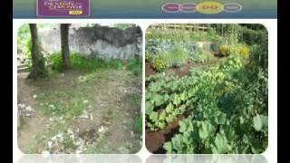 video all