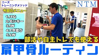 【肩甲骨】部活や自主トレでも使えるストレッチルーティン【ニーズトレーニングメソッド】