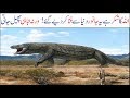 5 Biggest Animals of Ancient Times | Asif Ali TV