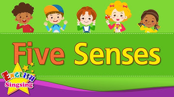 Five Senses - Kids vocabulary - Learn English for kids - English educational video