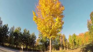 Kum Gibi -Akustik Erdidevran&Xezal