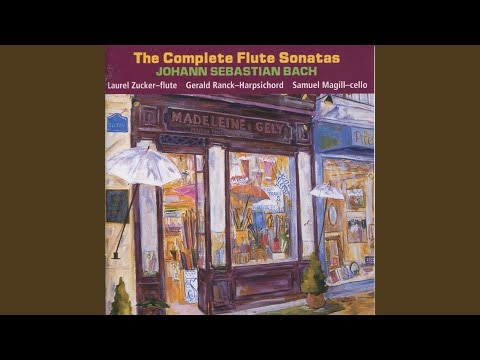 Sonata In G Minor For Flute And Harpsichord, BWV 1020: III. Allegro