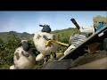 المسلسل الكارتوني شون ذا شيب الموسم الاول الحلقه الثانية Shaun The Sheap S01 Ep02 
