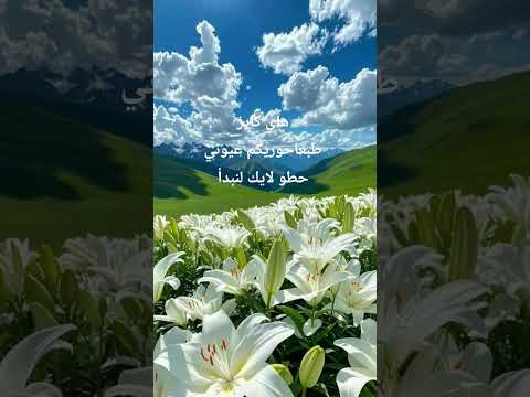 ١٧ أبريل ٢٠٢٦