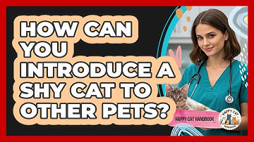 How Can You Introduce A Shy Cat To Other Pets? - Happy Cat Handbook