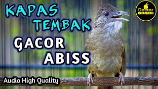 Download Lagu KATEM KAPAS TEMBAK GACOR TEMBAKAN PANJANG MASTERAN MURAI BATU COCOK BUAT BURUNG BAHAN LOMBA MP3