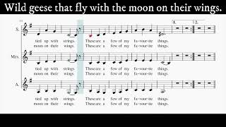 My favorite things (contralto) Rodgers&Hammerstein’s 