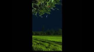 Daydream - ouse/house novo amorcolourway remix