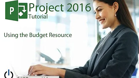 Microsoft Project 2016 Tutorial-Using the Budget Resource