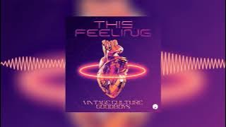 Vintage Culture & Goodboys - This Feeling