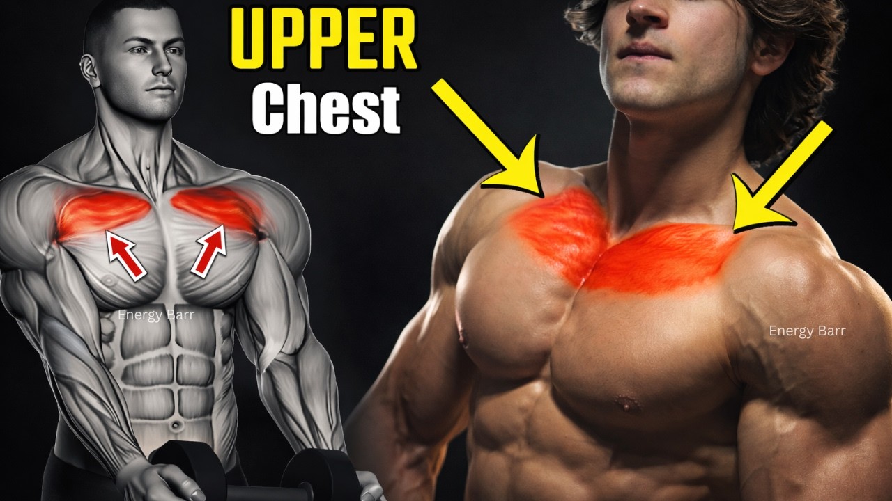 BEST Upper Chest Workout Routines You Need to Know - YouTube