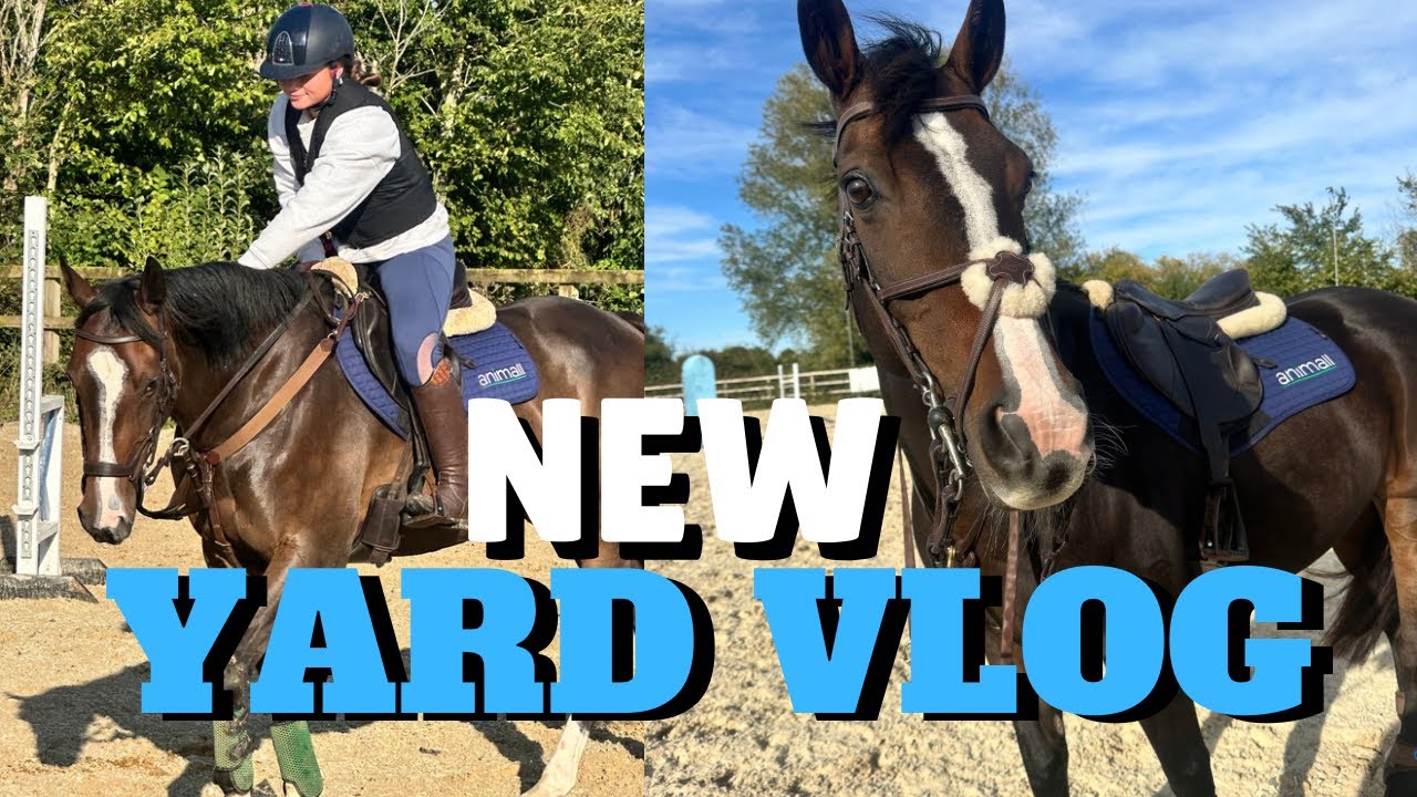 НОВЫЙ ДВОР VLOG | ФИФИ ВАЛЛИЙСКИЕ ПОНИ