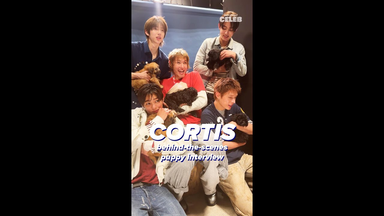 some more cortis x puppy crumbs✨ #CORTIS #puppyinterview