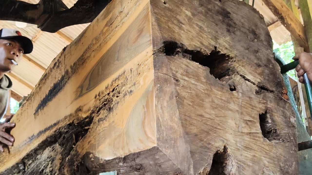 «ГИГАНТСКИЙ ТИК» (На лесопилке)