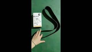 Genuine Liugong Cummins Spare Parts 4358153 SP282514 V Ribbed Belt