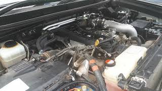 P2335 PRADO