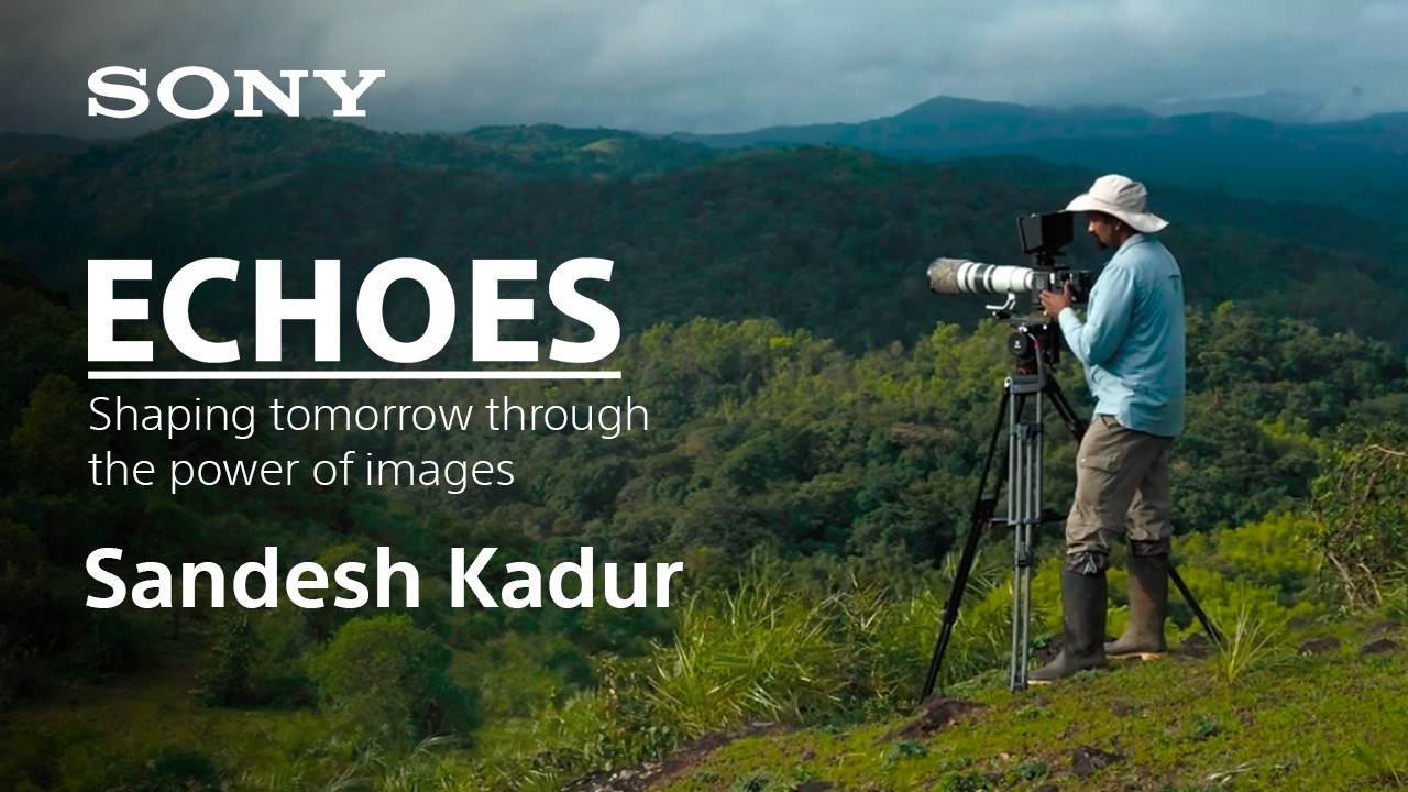 ECHOES | Sandesh Kadur | Sony