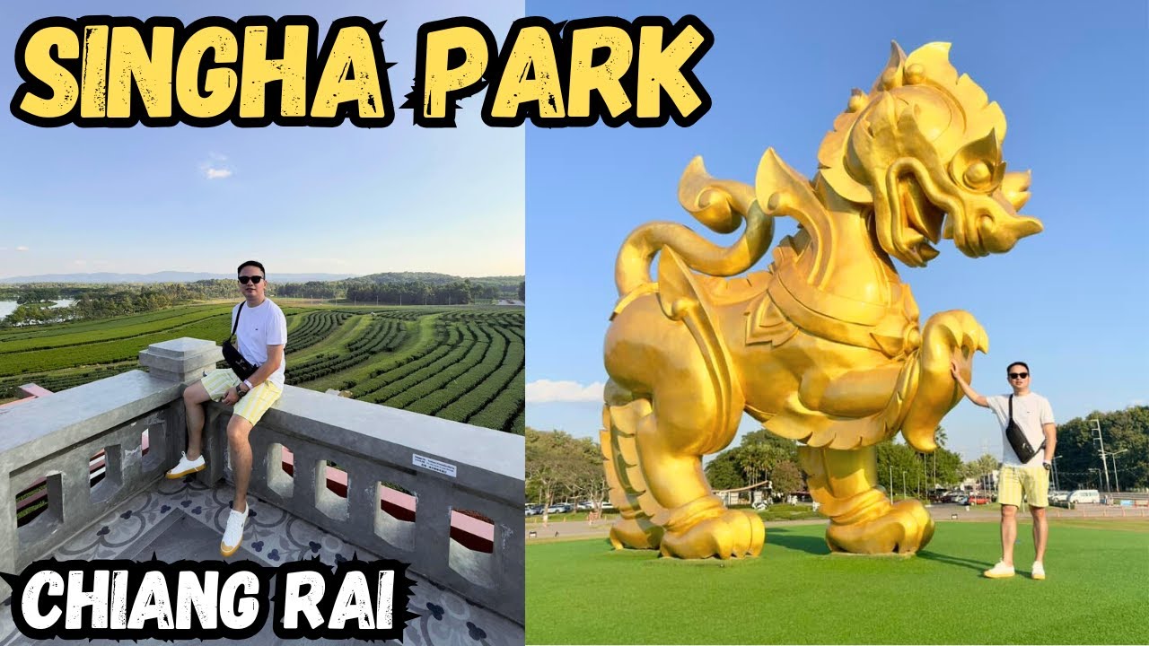 Chiang Rai Travel Guide Singha Park Exploring The Jewel Of Northern chiang-rai-travel-guide-singha-park-exploring-the-jewel-of-northern