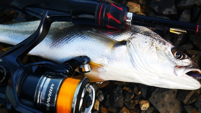 New Shimano MIRAVEL Review & on the Water! 