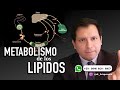 METABOLISMO DE LOS LÍPIDOS - METABOLISMO DE LAS GRASAS