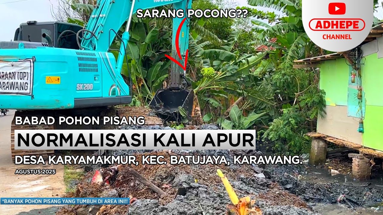 BABAD POHON PISANG | NORMALISASI KALI APUR BATUJAYA - KARAWANG 2025 