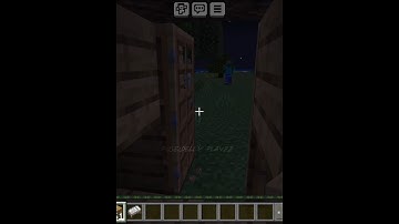 Try this door Hack🌀 Tutorial Minecraft 💚||#minecraft #minecraftshorts #minecraftmemes #minecraftpe