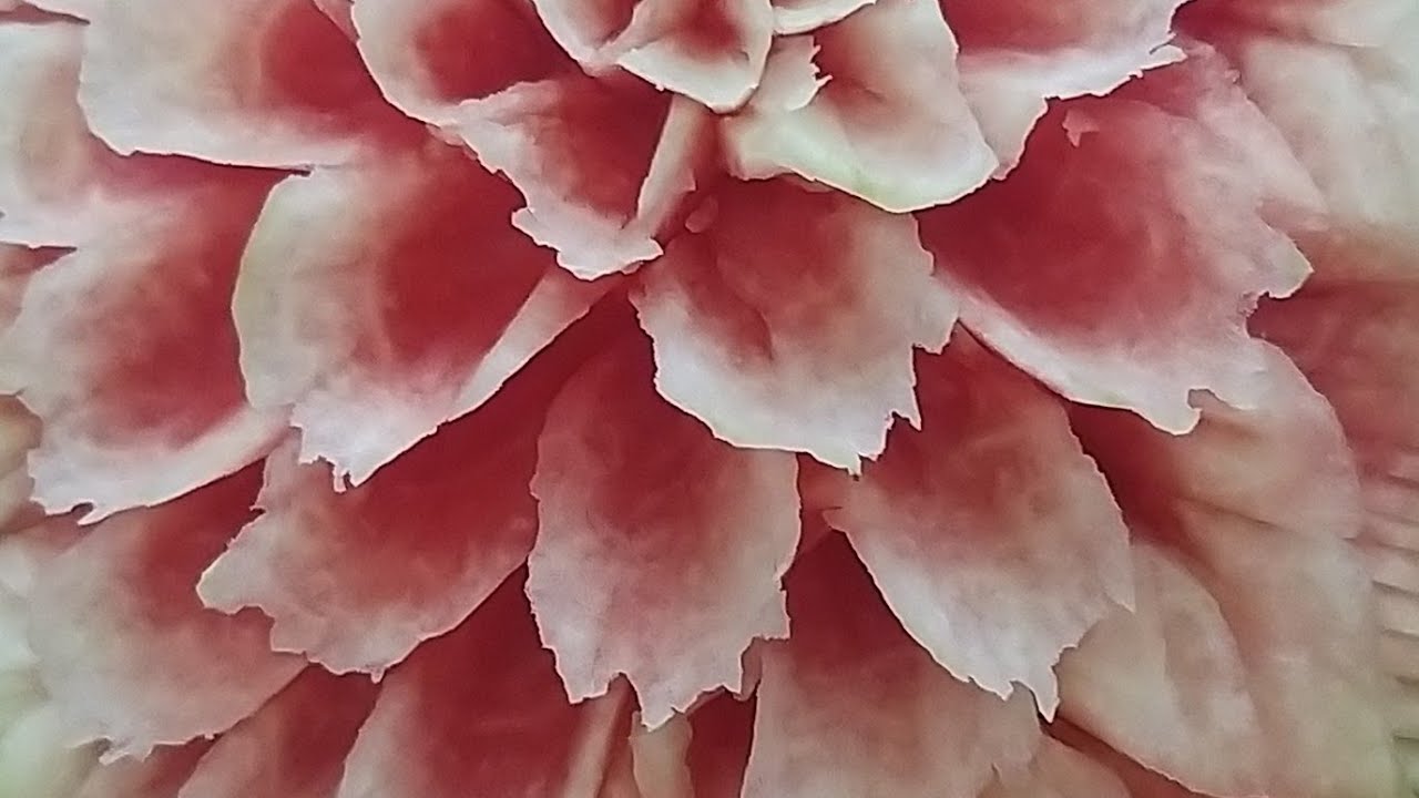 Carving watermelon flowers made from watermelon by Na Na Na channel