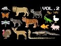 Collection animaux volume 2  animaux de la ferme mammifres animaux de compagnie reptiles  lexposition dimages pour enfants