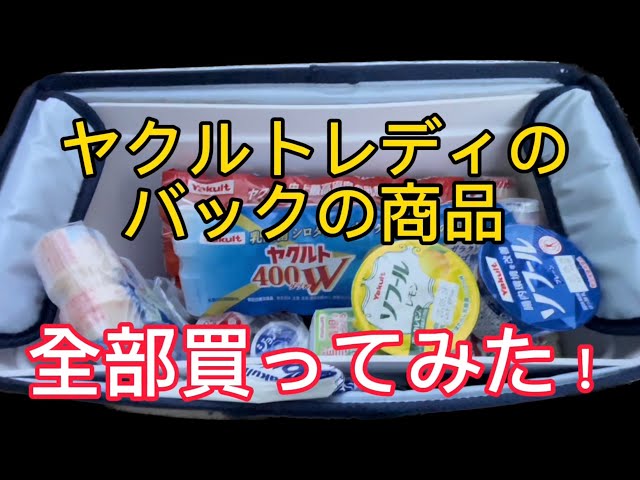 ヤクルトバック非売品【匿名送料無料】 ヤクルトバック非売品【匿名送料無料】