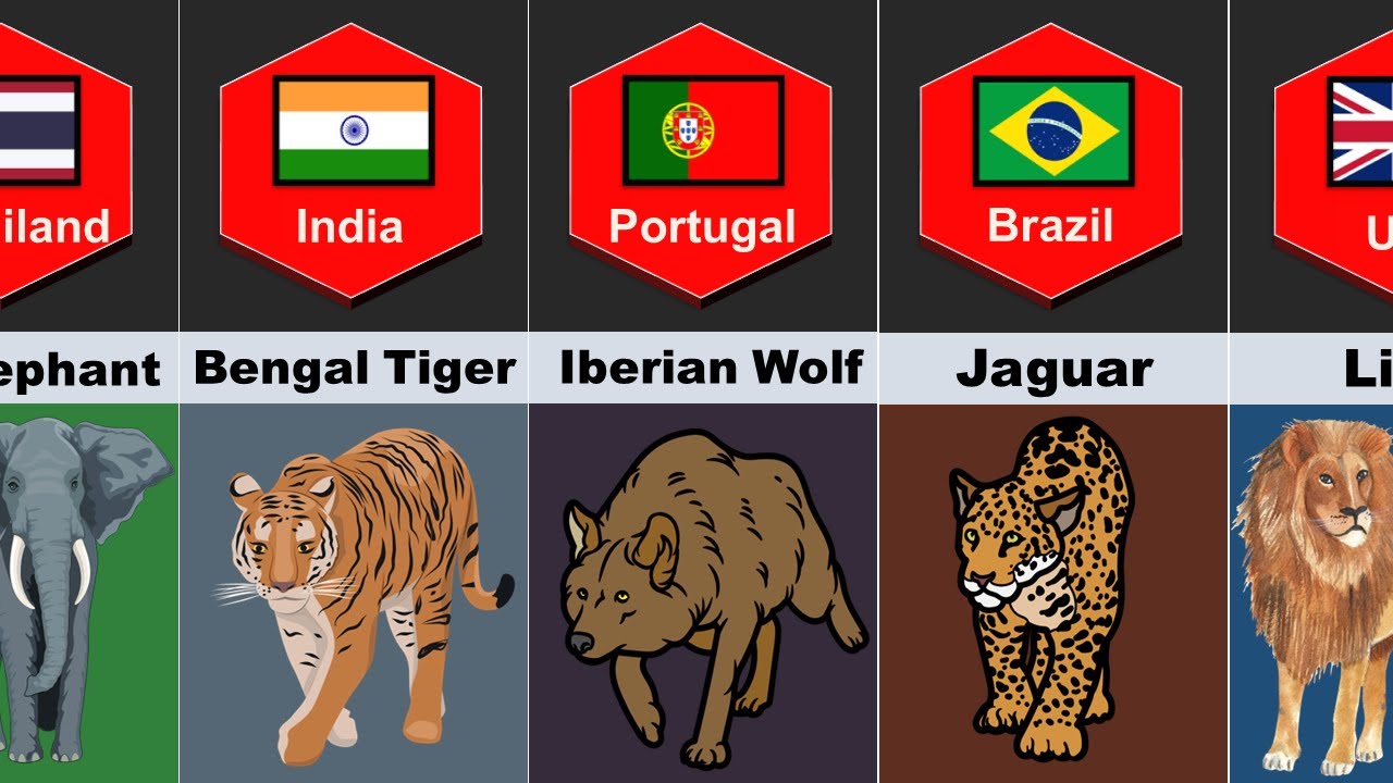 National Animals From Different Countries | National Animal of Each ...