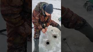 Зимняя ловля плотвы!#мормышка#зимняярыбалка  #мирнаярыба