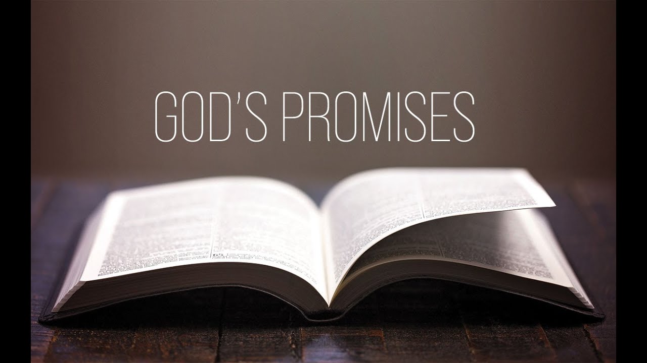 What does 2 Peter 1:4 says about promises.