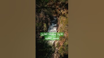 تلاوة خاشعة للقارئ محمد الفقيه #quran #تلاوة_خاشعة #محمد_الفقيه #اكسبلور
