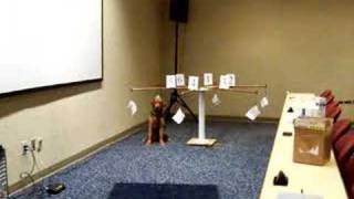 Auburn Double Blind Independent Agency Test of Ellie Mae