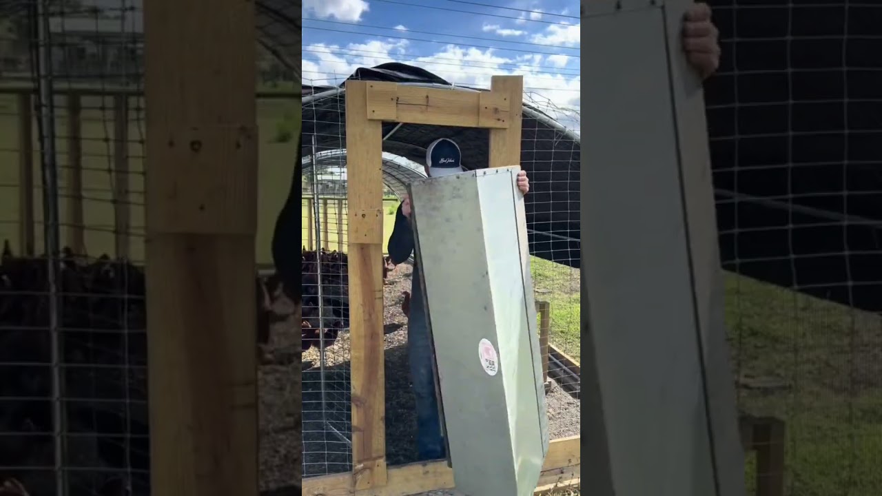 Moving my mobile coop! 