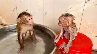 Super cute - Linda invites Puka to take a bath - Full version