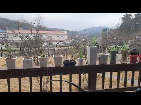 #김현식 #비처럼음악처럼 커버곡 유인나