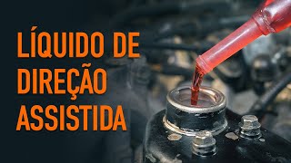 Guias em vídeo sobre a manutenção de veículos - Realize a sua própria inspeção