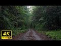 Rain to Help You Sleep｜Gentle Showers in the Mountains for Insomnia Relief [4K | 6H]