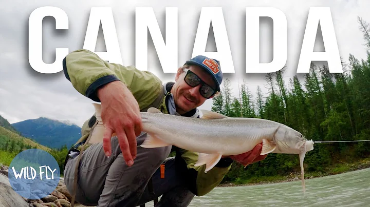 A Week in Bull Trout Country (pt. 1)