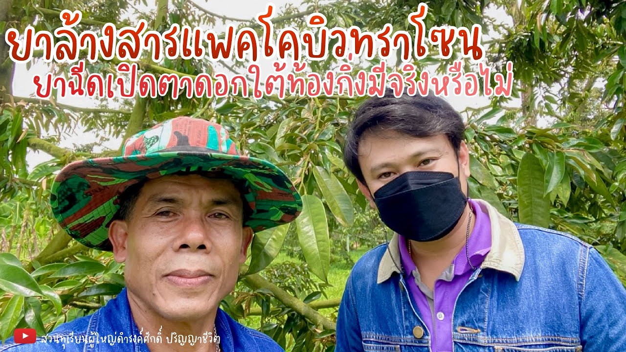 ยาล้างสารแพคโคบิวทราโซน ยาฉีดเปิดตาดอกใต้ท้องกิ่งมีจริงหรือไม่ | EP.33