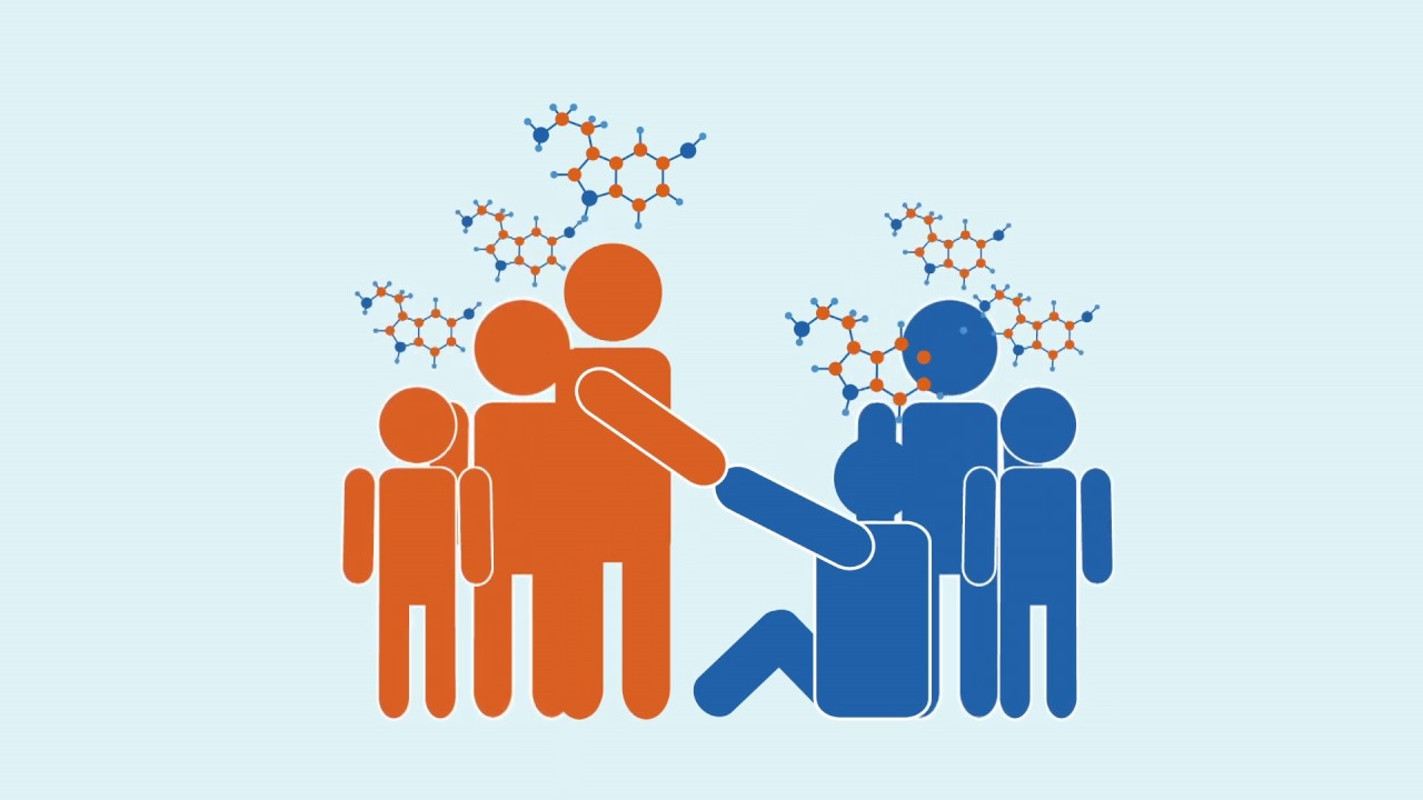 Life Vest Inside The Science of Kindness YouTube