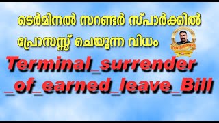 How to process terminal surrender in SPARK?