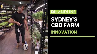 A Small Farm Making Big Waves From An Underground Car Park In Sydney Abc News
